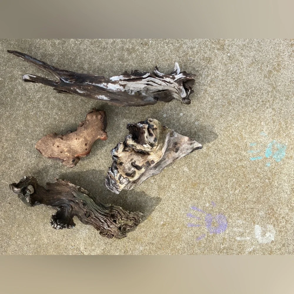Natural Wood Decorum(4 Pieces)-Crafting, Outdoors, Live Pets, Aquarium/Terrarium